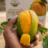 Premium Quality Gir Kesar Mangoes